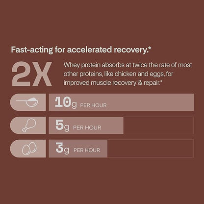 Whey Protein Powder, Chocolate Brownie, 25 Grams of Protein and Only 1 Gram of Sugar per Serving, 2 lbs, 25 Servings