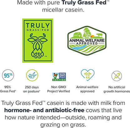 LEGION Casein Protein Powder (Strawberry) - Slow-Release Micellar Protein Powder - Non-GMO, Gluten-Free & Naturally Sweetened Casein Powder from Grass-Fed Cows
