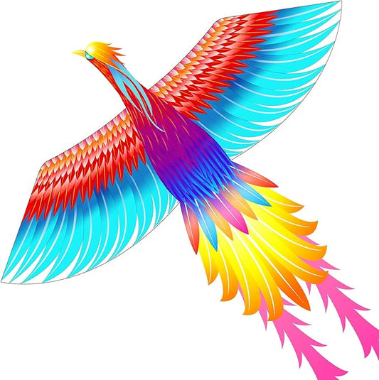 Mint’s Colorful Life Large Kite for Kids and Adults, Easy to Fly Single Line Beach Kites, Comes