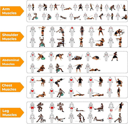 Resistance Band Set,Pull Up Exercise Bands Door Anchors Compatible with Billy's Bootcamp Tae Bo,Weight Loss,Strength Home Workouts Training,Physical Therapy,Yoga,Pilates.