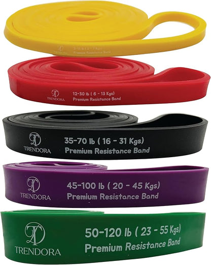 Premium Resistance Bands Set of 5, Exercise Bands, Workout Bands Set for Working Out with Handles for Men Women- Includes 2 Handles,2 Hooks,Storage Bags