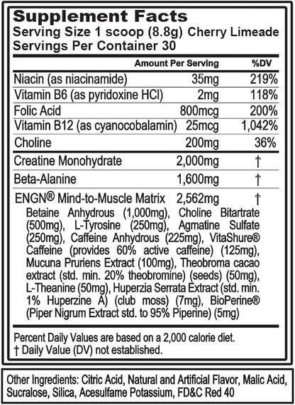 EVL Intense Pre Workout with Creatine - ENGN Energizing Pre Workout for Men Powder Drink for Lasting Energy Focus and Recovery - with Beta Alanine Caffeine and L Theanine - Cherry Limeade