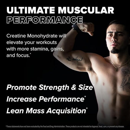 FINAFLEX Pure CREATINE, Unflavored - 5.3 oz - Promotes Muscular Strength, Size & Performance - 100% Pure, Micronized Creatine Monohydrate - NSF Certified - 30 Servings