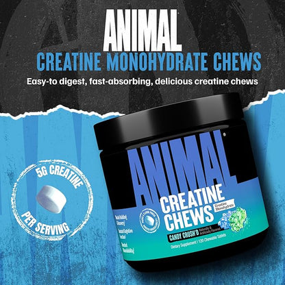 Animal Creatine Chews – Enhanced Creatine Monohydrate Chewable Tablets with AstraGin & Sea Salt, Max Absorption Pre Post-Workout, Lean Muscle Growth, Strength & Recovery, New Flavor Candy Crush’d