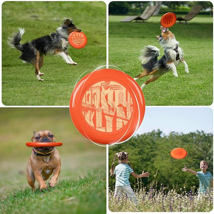 Wham-O Frisbee Cool Flyer Flying Disc, 9.95 Inch Sports Disc Lightweight Durable for Outdoor Beach Park Backyard Game - 130g
