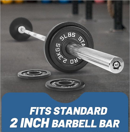 Professional-Grade Cast Iron Weight Plates | Dual-Hole Weight Plates with 2-Inch Bore | Ideal for Strength Training and Weightlifting | Multiple Weight Options Available