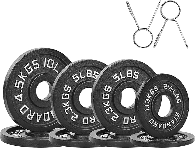 Professional-Grade Cast Iron Weight Plates | Dual-Hole Weight Plates with 2-Inch Bore | Ideal for Strength Training and Weightlifting | Multiple Weight Options Available