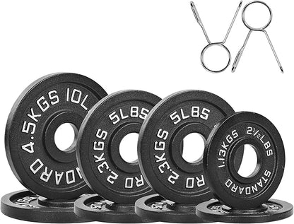 Professional-Grade Cast Iron Weight Plates | Dual-Hole Weight Plates with 2-Inch Bore | Ideal for Strength Training and Weightlifting | Multiple Weight Options Available