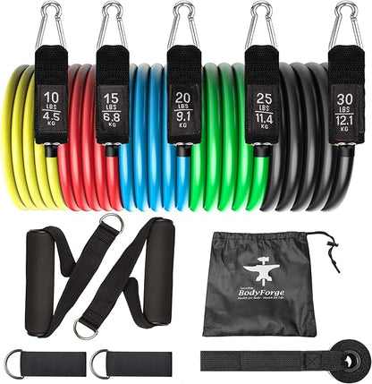 BodyForge Resistance Bands, Exercise Bands，Resistance Bands for Working Out, Work Out Bands with Handles for Men and Women Fitness, Strength Training Home Gym Equipment
