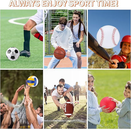 Deekin 12 Pcs Assorted Sport Ball Set Official Size Basketball, Football, Volleyball, Soccer, Baseball, Playground Ball with Bag and Pump Gift for Kid Youth Adult Back to School