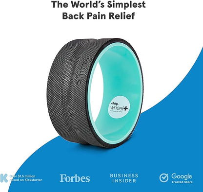 Chirp Wheel Foam Roller ??Targeted Back & Neck Relief, Lumbar Spine Stretcher, Spinal Decompression Back Stretcher, Massage Roller with Density Foam for Physical Therapy, Supports 500lbs, 10-Inch Mint