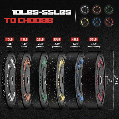RitFit Bumper Plates, Colored Fleck-Rubber Weight Plates with Steel Insert, 2-inch Olympic Weight Plates for Weight Lifting and Strength Training,10LB Pair