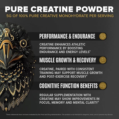 Falcon Performance Vegan Protein Powder, 31g Protein, 5g Creatine, 5g BCAA, Probiotics, Electrolytes, Pre Workout, Low Carb, Sugar Free & Dairy Free, Plant Based Vanilla Protein, 29 Servings