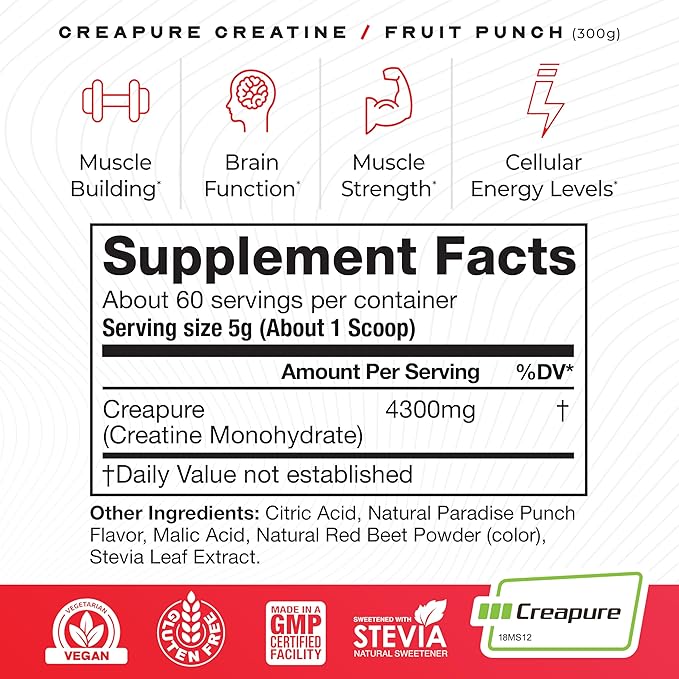 Muscle Feast Creapure Creatine Monohydrate Powder, Vegan Keto Friendly Gluten-Free Easy to Mix, Muscle Recovery Supplement, Creatine for Muscle Growth, Flavored Creatine, Natural Fruit Punch 300g