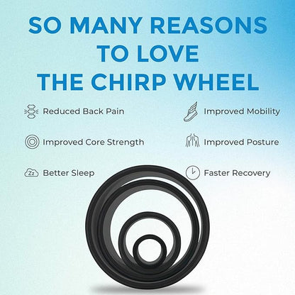 Chirp Wheel Foam Roller ??Targeted Back & Neck Relief, Lumbar Spine Stretcher, Spinal Decompression Back Stretcher, Massage Roller with Density Foam for Physical Therapy, Supports 500lbs, 4-Pack Black