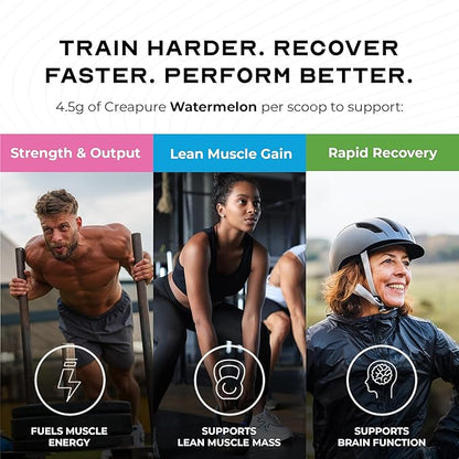 Muscle Feast Creapure Creatine Monohydrate Powder, Vegan Keto Friendly Gluten-Free Easy to Mix, Muscle Recovery Supplement, Creatine for Muscle Growth, Flavored Creatine, Natural Watermelon, 300g