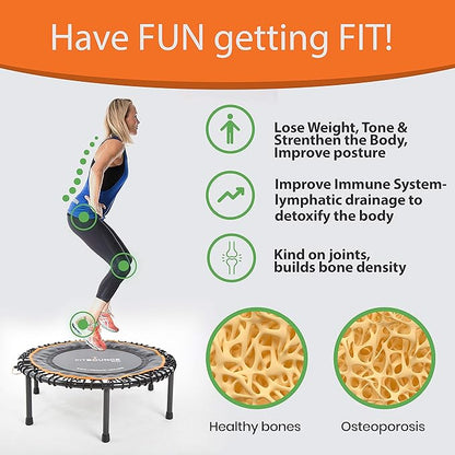 MXL FIT Bounce PRO Bungee Rebounder - Premium Indoor Mini Trampoline for Adults and Kids, Silent Low-Impact Bounce, Half-Folding with Foldable Steel Legs & Carry Bag