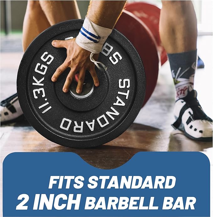 Professional-Grade Cast Iron Weight Plates | Dual-Hole Weight Plates with 2-Inch Bore | Ideal for Strength Training and Weightlifting | Multiple Weight Options Available