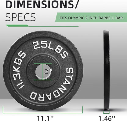 Olympic Cast Iron 2-Inch Weight Plate for Strength Training & Weightlifting, Home Gym, Multiple Weights Available