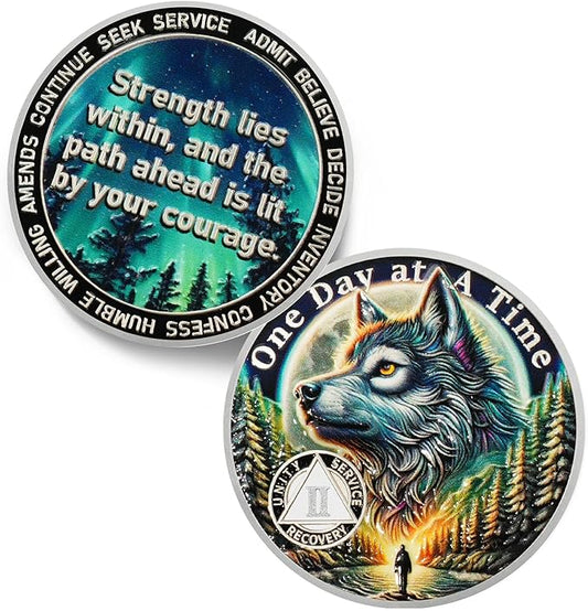 One Day at a Time 2 Year Sobriety Coin - Recovery Aurora Forest Wolf AA Coins - Addiction NA AA