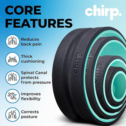 Chirp Wheel Foam Roller ??Targeted Back & Neck Relief, Lumbar Spine Stretcher, Spinal Decompression Back Stretcher, Massage Roller with Density Foam for Physical Therapy, Supports 500lbs, 4-Pack Mint