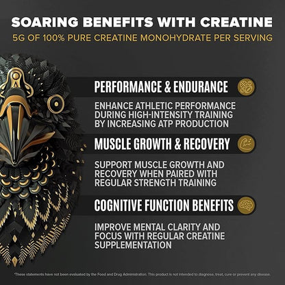 Falcon Performance Vegan Protein Powder, 31g Protein, 5g Creatine, 5g BCAA, Probiotics, Electrolytes, Pre Workout, Low Carb, Sugar Free & Dairy Free, Plant Based Vanilla Protein -19 Servings