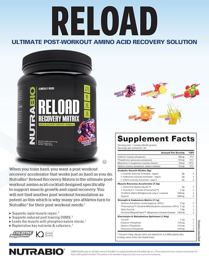 NutraBio Reload - Powerful Muscular Recovery Formula - Post-Workout Supplement - 3G Creatine - 8G BCAAs - 5G Glutamine - 30 Servings, Grape Berry Crush