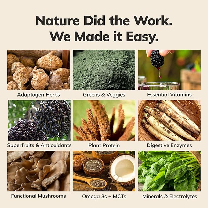 Ka?™Chava Whole Body Meal Shake Coconut Acai 2 lb ??Vegan Protein Powder with 85+ Superfoods & Greens ??Plant-Based Meal Replacement ??Probiotics & Digestive Enzymes ??Gluten & Dairy Free (15 Servings)