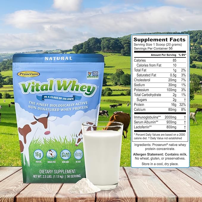 Grass-Fed Whey Protein Powder for Immune Vitality, Natural Flavor 600g (30 Servings), 15g Protein Per Serve, Vital Whey, Clean Holistic, Wellness Nutrition