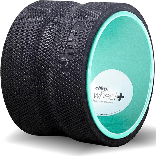 Chirp Wheel Foam Roller ??Targeted Back & Neck Relief, Lumbar Spine Stretcher, Spinal Decompression Back Stretcher, Massage Roller with Density Foam for Physical Therapy, Supports 500lbs, 6-Inch Mint