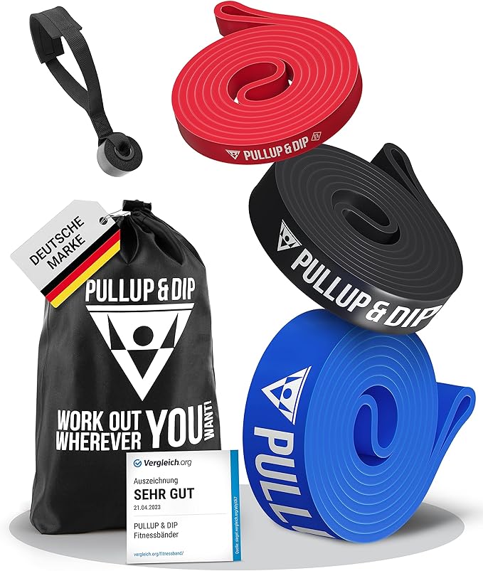 PULLUP & DIP Fitness Bands, Resistance Bands with Bag, Door Anchor (with Sets) and Exercise Guide - Single & in Value Set, Pull-Up Band Fitness Band for Calisthenics