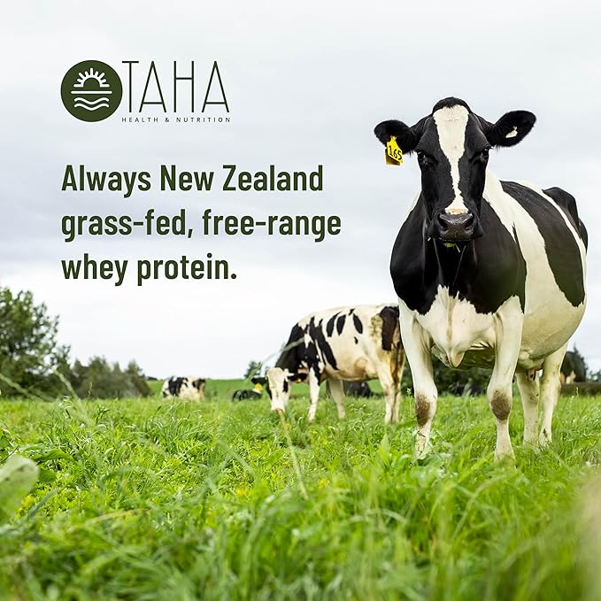 Taha Health & Nutrition Mind + Body Protein Blend ??German Chocolate | 25g Protein from Whey & Collagen + 400mg Milk Phospholipids | Grass-Fed, Free-Range New Zealand Dairy | 2LB