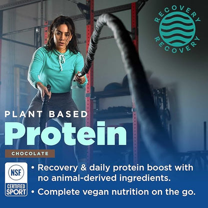 Gnarly Nutrition Vegan Plant Protein ??Chocolate Vegan Protein Powder, NSF Sport Certified ??Meal Replacement, Daily Nutritional Boost ??Lactose Free Powder ??Chocolate, 28.2 oz