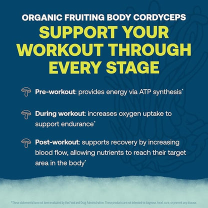 True Grace ElectroMag - Grapefruit (16 Stick Packs) + Lemon Lime (16 Stick Packs) - Electrolyte Powder for Rapid Hydration - Zero Sugar & Carbs - Non-GMO - 32 Total Servings