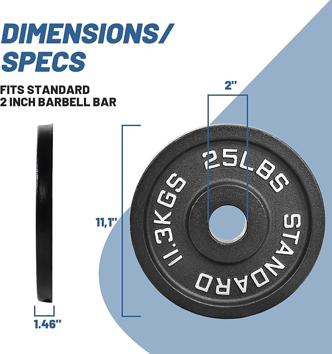 Professional-Grade Cast Iron Weight Plates | Dual-Hole Weight Plates with 2-Inch Bore | Ideal for Strength Training and Weightlifting | Multiple Weight Options Available