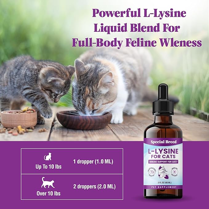 Special Breed L-Lysine for Cats & Kittens ??Immune, Respiratory & Eye Health Support ??Liquid Cat Supplement with Astragalus, Burdock, Atractylodes, Dangshen & Vitamins A, B1, B2, B6 ??2oz (60mL)
