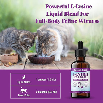 Special Breed L-Lysine for Cats & Kittens ??Immune, Respiratory & Eye Health Support ??Liquid Cat Supplement with Astragalus, Burdock, Atractylodes, Dangshen & Vitamins A, B1, B2, B6 ??2oz (60mL)