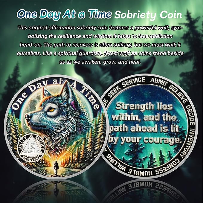 One Day at a Time 18 Month Sobriety Coin - Recovery Aurora Forest Wolf AA Coins - Addiction NA AA Chips and Medallions - Celebrate 1-30 Living Clean Sober Alcoholics Anonymous Gifts for Men Women