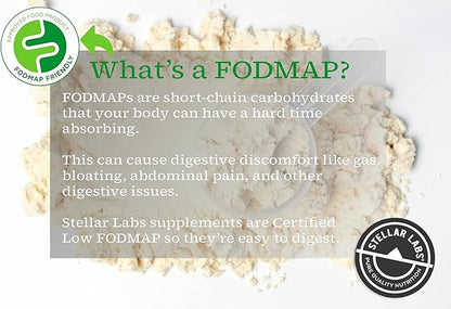 Stellar Labs Whey Protein Powder with BCAA's & Whey Isolate | Certified Low FODMAP, Non GMO, Gluten Free, Soy Free, Low Carb, Keto, with Stevia | All Natural Lean Post Workout Shakes | Salted Caramel