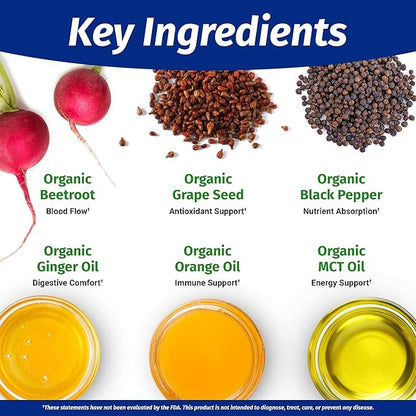 1 Body Beet Vital, Organic Beetroot Supplements for Circulation, Energy, & Stamina, Nitric Oxide Booster Beets Supplements with 1360mg Beetroot Extract, Vegan, Non-GMO, 60 Organic Beet Root Capsules