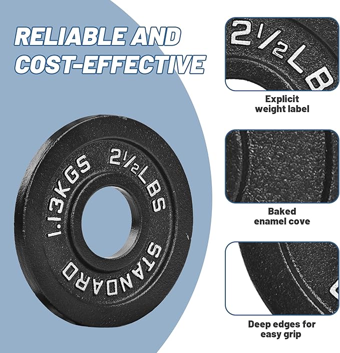 Professional-Grade Cast Iron Weight Plates | Dual-Hole Weight Plates with 2-Inch Bore | Ideal for Strength Training and Weightlifting | Multiple Weight Options Available
