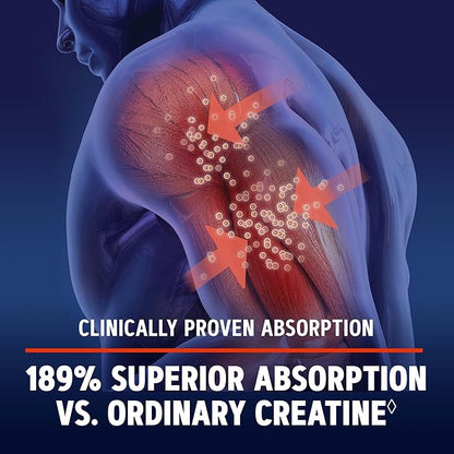 GNC AMP Creatine HCl 189, Targeted Muscle Builder and Recovery Supplement, Fast Absorbing Performance Blend, 480 Count