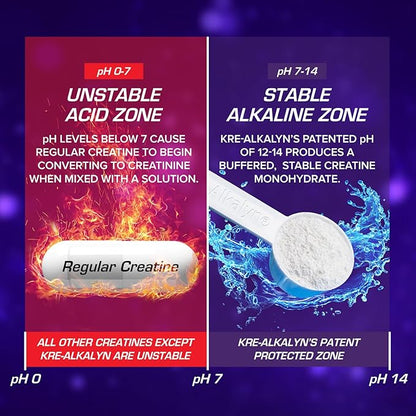 EFX Sports Kre-Alkalyn EFX Powder | pH Correct Creatine Monohydrate Powder Supplement | Strength, Muscle Growth & Performance | 116 Servings (Watermelon Gummy)
