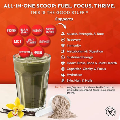 Veeg All-in-One Protein Smoothie Powder - Plant Based Protein Powder, Superfoods, Organic Greens, MCT Powder, Probiotics, Multivitamins for Men & Women, Sugar-Free, 15 Servings (Vanilla)