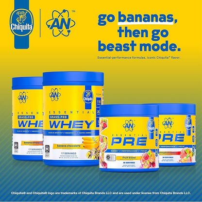 AN Essentials Pre-Workout Powder Supplement for Men & Women | Energy Drink Mix with 200mg Caffeine, Beta Alanine, Citrulline, & Creatine | Fruit Blend | 30 Servings