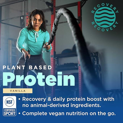 Gnarly Nutrition Vegan Plant Protein ??Vanilla Vegan Protein Powder, NSF Sport Certified ??Meal Replacement, Daily Nutritiional Boost ??Lactose Free Powder ??Vanilla, 28.2 oz