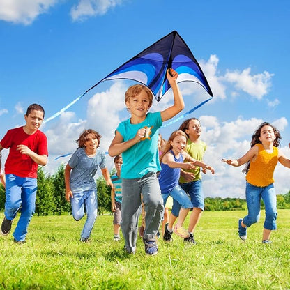 Blue Delta Kite Easy to Fly,Beach Trip Outdoor Games Single Line String with Tail,Easy Flying Colorful Life 3D Delta Huge Kite for Kid and Adult