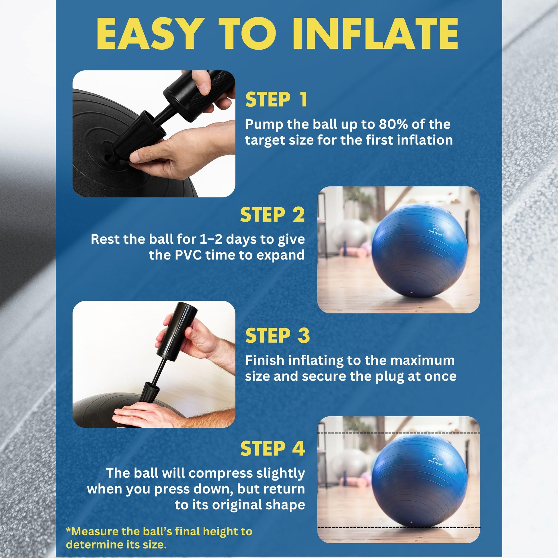 ProBody Pilates Yoga Ball - Vibrant Colors Exercise Ball (Sky, 65 cm)