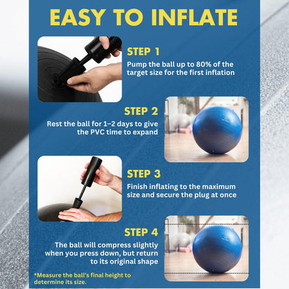 ProBody Pilates Yoga Ball - Vibrant Colors Exercise Ball (Sky, 65 cm)