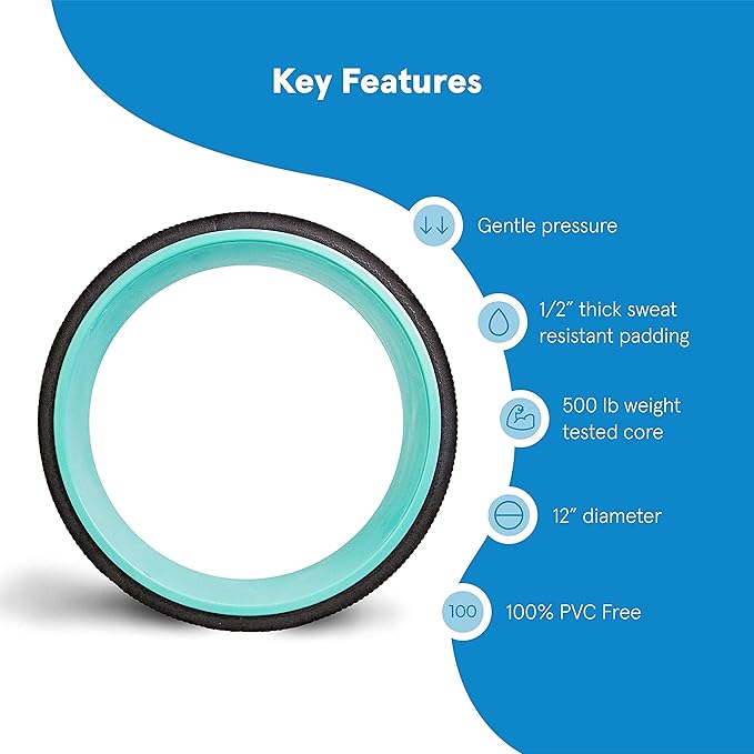 Chirp Wheel Foam Roller ??Targeted Back & Neck Relief, Lumbar Spine Stretcher, Spinal Decompression Back Stretcher, Massage Roller with Density Foam for Physical Therapy, Supports 500lbs, 12-Inch Mint